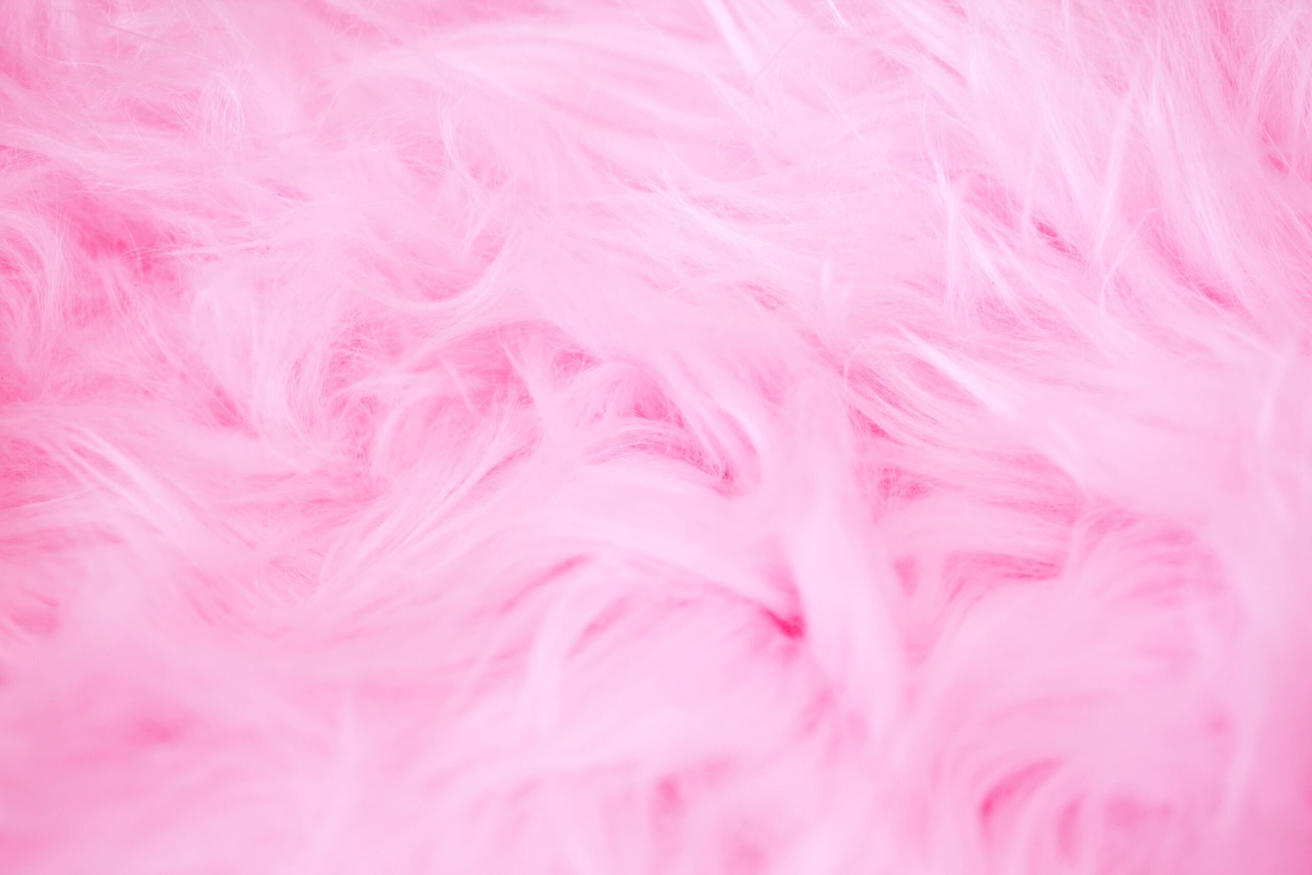 Pink feathers